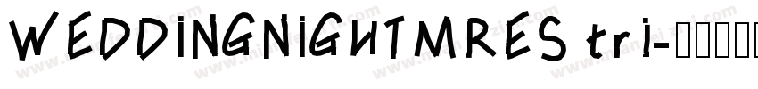 WEDDINGNIGHTMRES tri字体转换